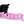 Konay LC Teacup Extreme short muzzle
