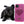 Konay LC Teacup Extreme short muzzle