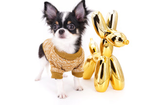 Smore Boy Just perfection