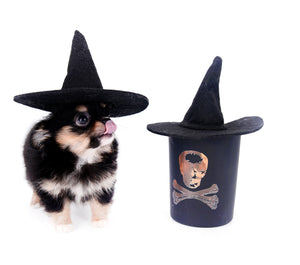 Melanie Micro Teacup Tricolor Girl