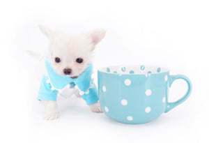 Suri Micro Teacup LC White Boy