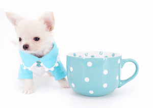Suri Micro Teacup LC White Boy