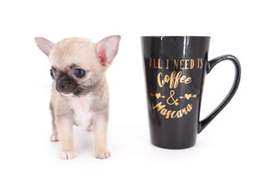 Milan West  Teacup SC Blue Fawn Boy