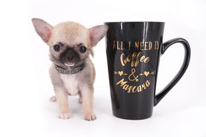 Milan West  Teacup SC Blue Fawn Boy