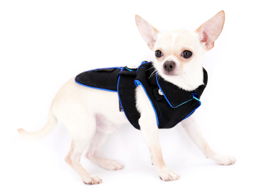 Liam Marcus Teacup Short Muzzle SC Boy
