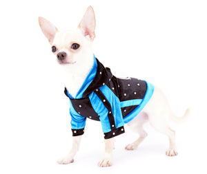 Liam Marcus Teacup Short Muzzle SC Boy