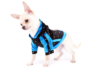 Liam Marcus Teacup Short Muzzle SC Boy