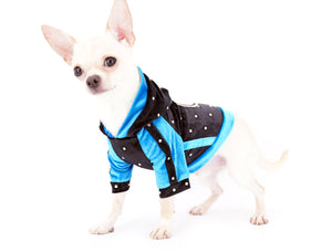 Liam Marcus Teacup Short Muzzle SC Boy