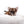 Miny is a micro teacup LC Sable Boy