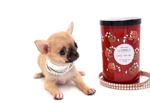 Melody Micro Teacup Sable Girl