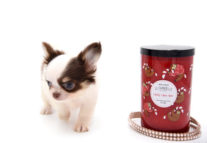 Lilly Nelly Extreme Short Muzzle White Chocolate Girl