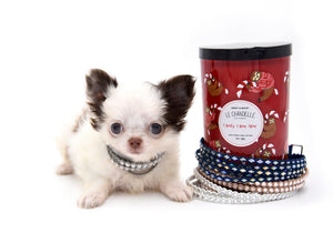 Suri LC white Chocolate Girl