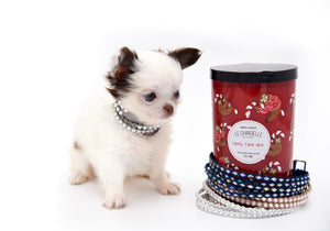 Suri LC white Chocolate Girl