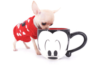 Minnie Micro Girl only 1.8 lbs at 6 months old