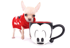 Minnie Micro Girl only 1.8 lbs at 6 months old