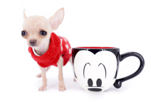 Minnie Micro Girl only 1.8 lbs at 6 months old