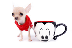 Minnie Micro Girl only 1.8 lbs at 6 months old
