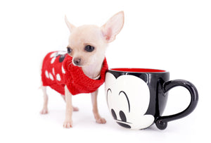 Minnie Micro Girl only 1.8 lbs at 6 months old