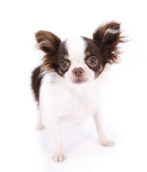 Romeo Tiny Micro Boy