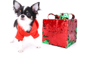 Smore Boy Just perfection