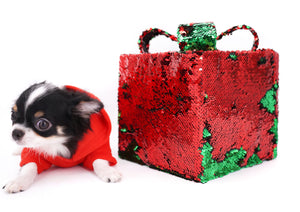 Smore Boy Just perfection