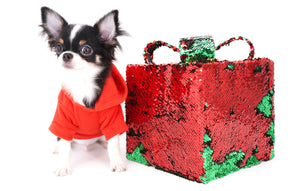 Smore Boy Just perfection