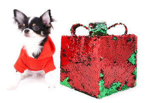 Smore Boy Just perfection