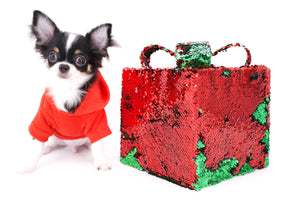 Smore Boy Just perfection