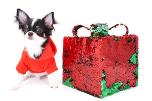 Smore Boy Just perfection