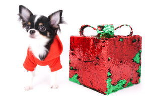 Smore Boy Just perfection