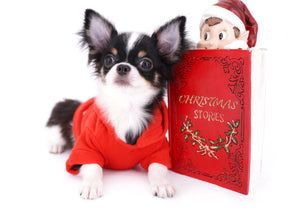 Smore Boy Just perfection