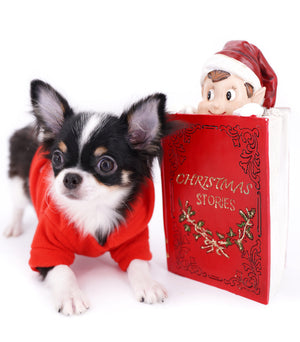 Smore Boy Just perfection