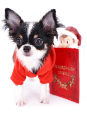 Smore Boy Just perfection