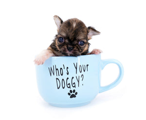 Lilly Bella Micro Teacup Girl
