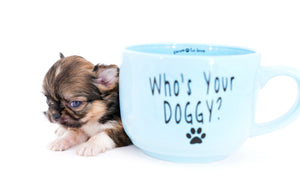 Lilly Bella Micro Teacup Girl
