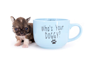 Lilly Bella Micro Teacup Girl