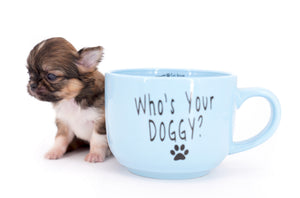 Lilly Bella Micro Teacup Girl