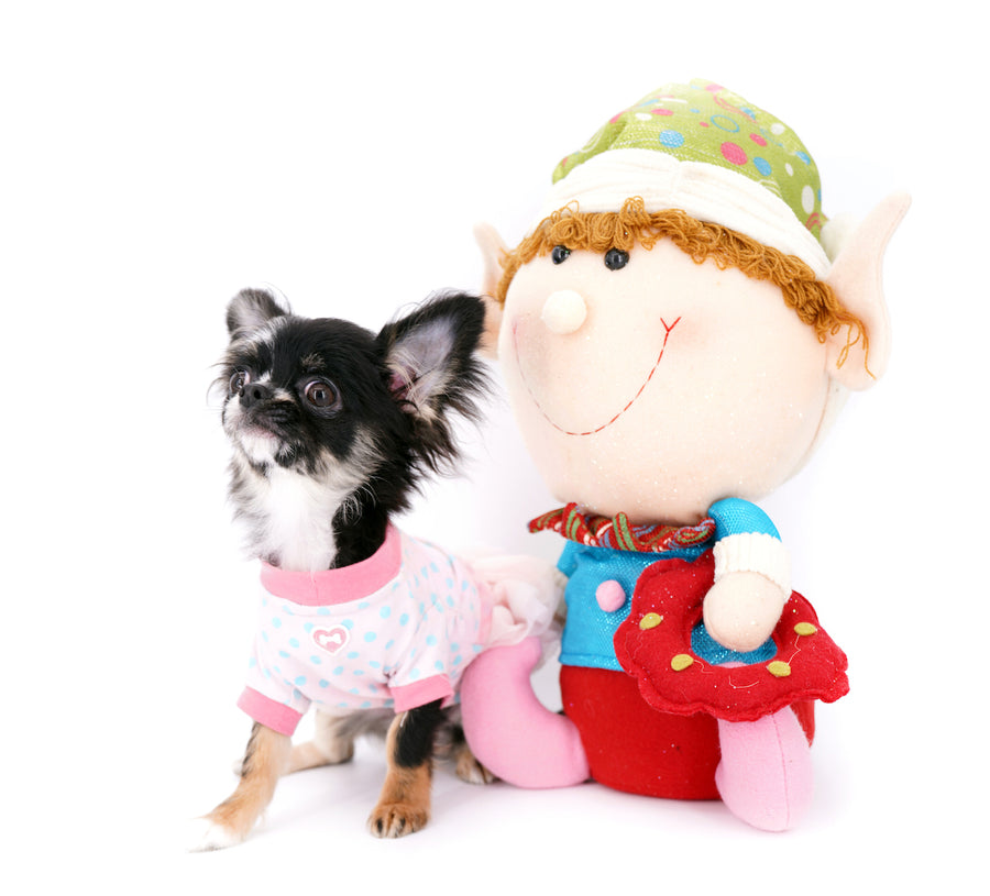 Diva Micro LC Girl