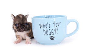Lilly Bella Micro Teacup Girl