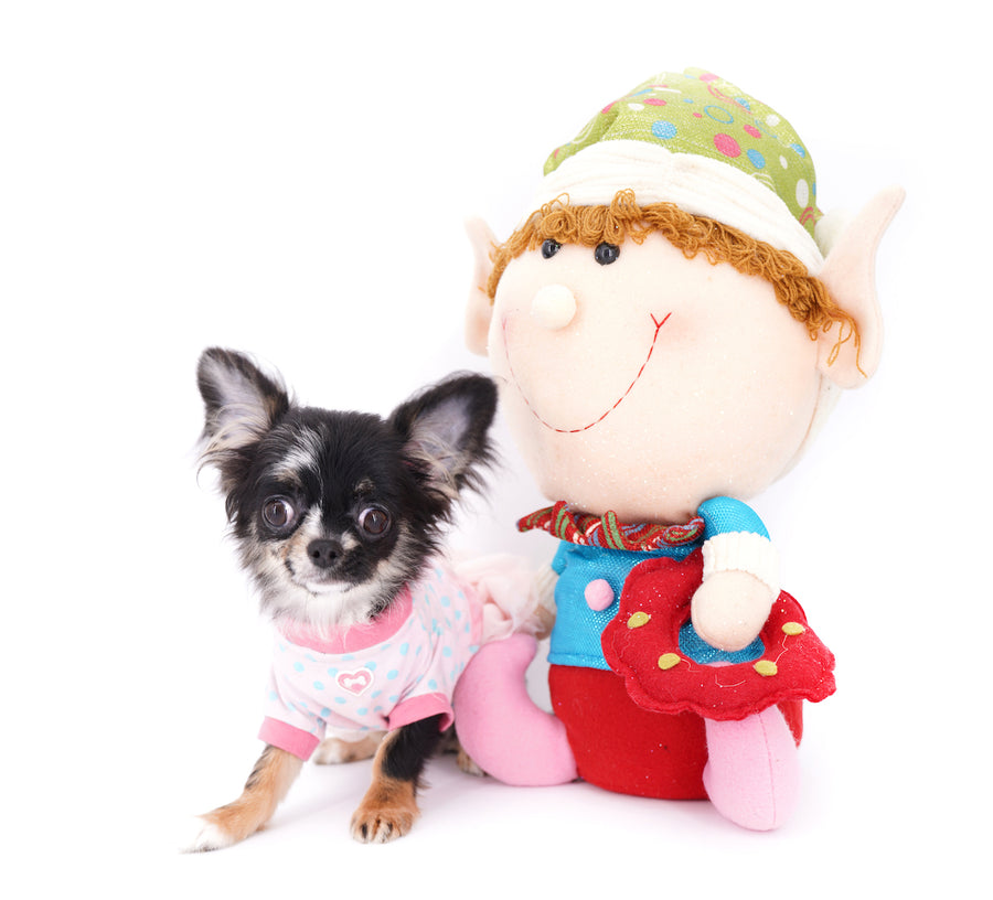 Diva Micro LC Girl