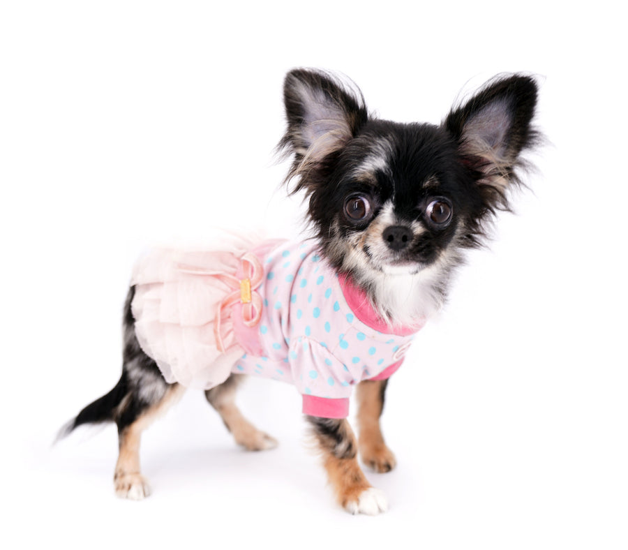 Diva Micro LC Girl