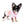 Diva Micro LC Girl