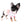 Diva Micro LC Girl