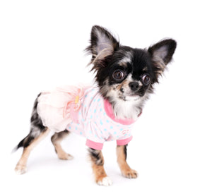 Diva Micro LC Girl