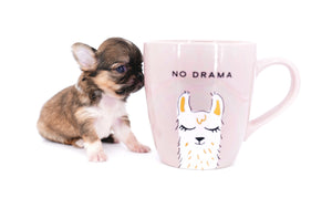 Lilly Bella Micro Teacup Girl