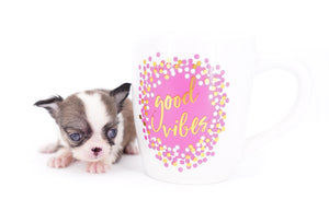 Annabelle Doll Face LC Girl