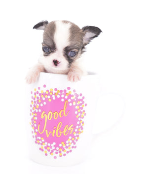 Annabelle Doll Face LC Girl