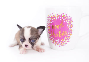 Annabelle Doll Face LC Girl