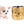 Mia Doll Short Muzzle Girl