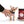 Milay Teacup Red Sable